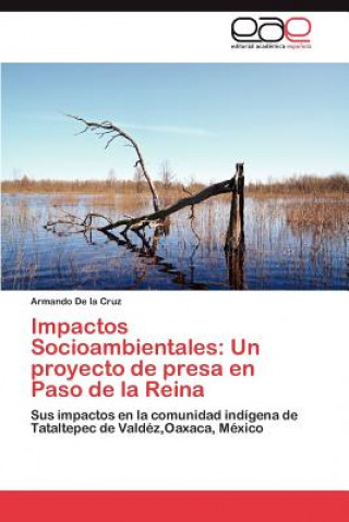 Buch Impactos Socioambientales Armando De la Cruz