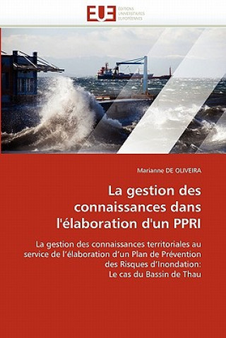 Buch La Gestion Des Connaissances Dans l'' laboration d''un Ppri Marianne De Oliveira