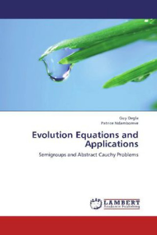 Könyv Evolution Equations and Applications Guy Degla