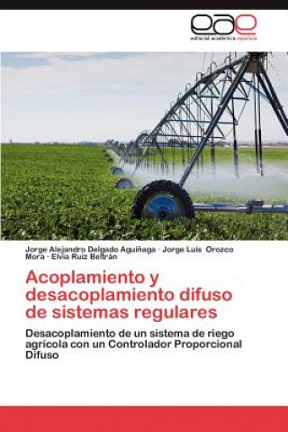 Buch Acoplamiento y Desacoplamiento Difuso de Sistemas Regulares Jorge Luis Orozco Mora