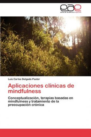 Kniha Aplicaciones clinicas de mindfulness Luis Carlos Delgado Pastor