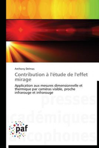 Книга Contribution A l'Etude de l'Effet Mirage Anthony Delmas