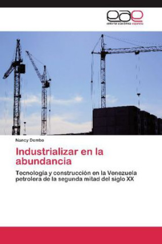 Kniha Industrializar en la abundancia Nancy Dembo