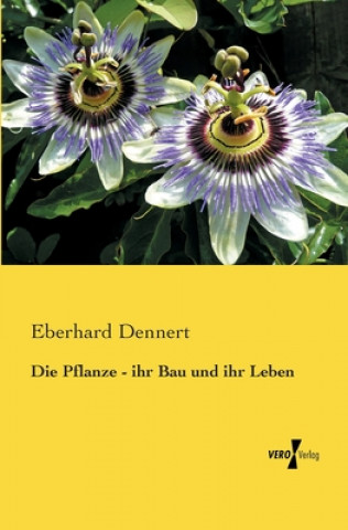 Könyv Pflanze - ihr Bau und ihr Leben Eberhard Dennert