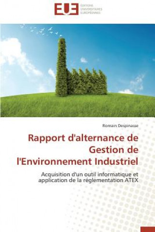 Carte Rapport d'Alternance de Gestion de l'Environnement Industriel Romain Despinasse