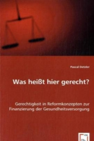 Könyv Was heißt hier gerecht? Pascal Detzler