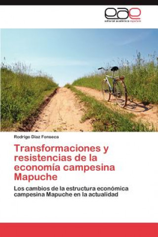 Książka Transformaciones y Resistencias de La Economia Campesina Mapuche Rodrigo Díaz Fonseca