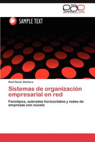 Kniha Sistemas de organizacion empresarial en red Raúl Oscar Dichiara