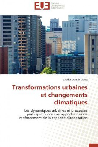 Buch Transformations Urbaines Et Changements Climatiques Cheikh Oumar Dieng