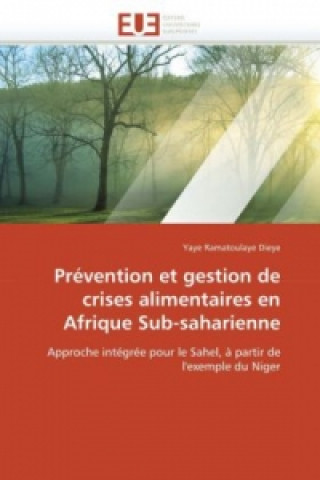 Kniha Prévention et gestion de crises alimentaires en Afrique Sub-saharienne Yaye Ramatoulaye Dieye