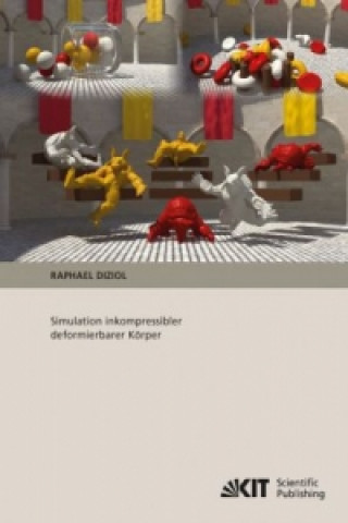 Libro Simulation inkompressibler deformierbarer Koerper Raphael Diziol