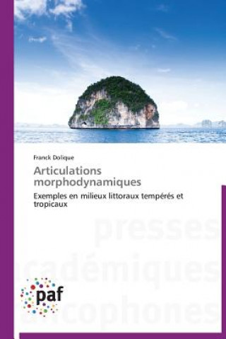 Kniha Articulations Morphodynamiques Franck Dolique