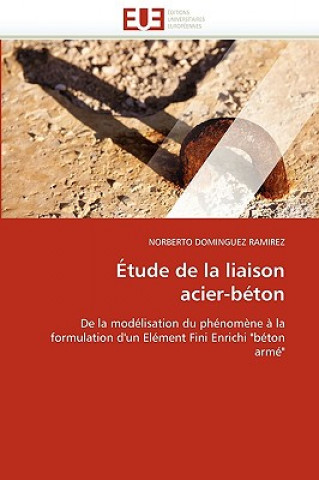 Knjiga tude de la Liaison Acier-B ton Norberto Dominguez Ramirez