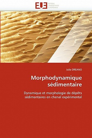 Книга Morphodynamique S dimentaire Julie Dreano
