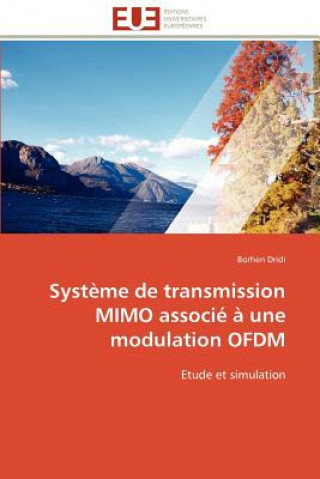 Kniha Systeme de transmission mimo associe a une modulation ofdm Borhen Dridi