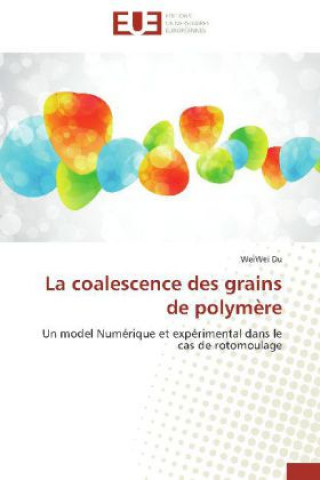 Könyv La coalescence des grains de polymère WeiWei Du