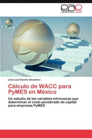 Kniha Calculo de Wacc Para Pymes En Mexico Jose Luis Duarte Alcantara