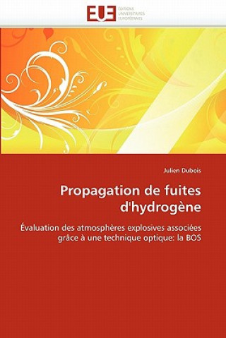 Kniha Propagation de Fuites d''hydrog ne Julien Dubois