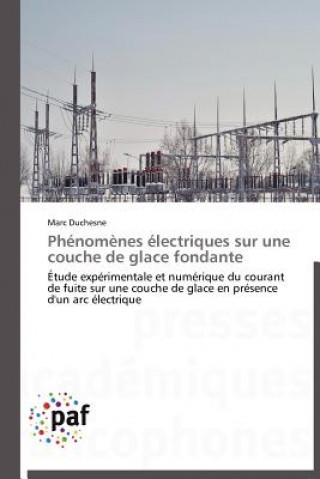 Carte Phenomenes Electriques Sur Une Couche de Glace Fondante Marc Duchesne