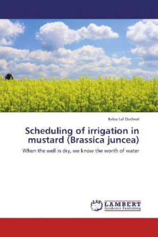 Książka Scheduling of irrigation in mustard (Brassica juncea) Babu Lal Dudwal