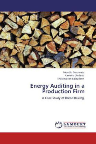 Buch Energy Auditing in a Production Firm Mondiu Durowoju