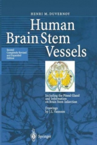 Książka Human Brain Stem Vessels Henri M. Duvernoy