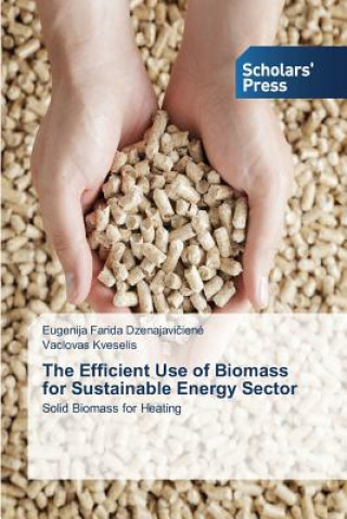 Kniha Efficient Use of Biomass for Sustainable Energy Sector Eugenija Farida Dzenajaviciene