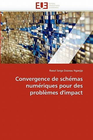 Kniha Convergence de Sche Mas Nume Riques Pour Des Proble Mes d''impact Raoul Serge Dzonou Nganjip