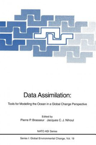 Kniha Data Assimilation Pierre P Brasseur