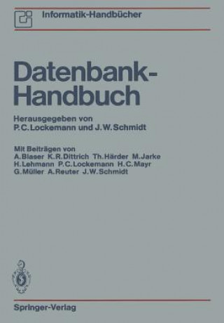 Könyv Datenbank-Handbuch Peter C. Lockemann