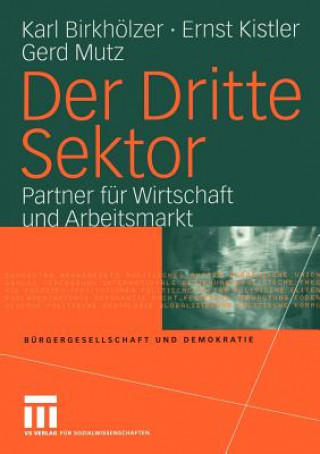 Buch Dritte Sektor Karl Birkholzer