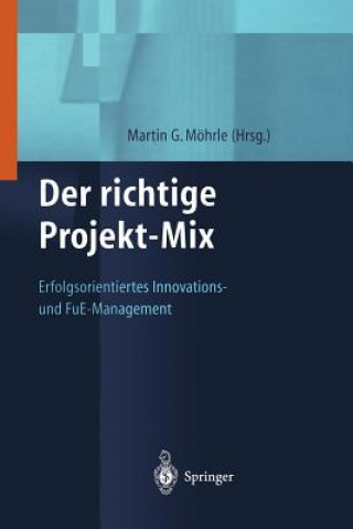 Buch Der Richtige Projekt-Mix Martin Moehrle