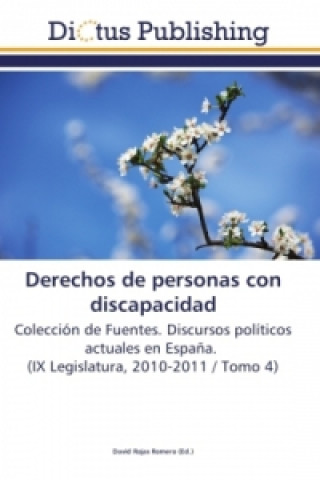 Könyv Derechos de personas con discapacidad David Rojas Romero