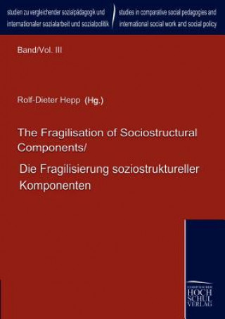 Könyv Die Fragilisierung soziostruktureller Komponenten. The Fragilisation of Sociostructural Components Rolf-Dieter Hepp