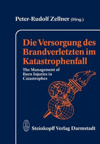 Kniha Die Versorgung Des Brandverletzten Im Katastrophenfall P. R. Zellner
