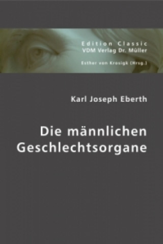 Carte Die männlichen Geschlechtsorgane Karl J. Eberth