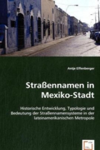 Kniha Straßennamen in Mexiko-Stadt Antje Effenberger