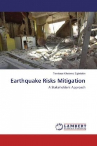 Book Earthquake Risks Mitigation Temitope Kikelomo Egbelakin
