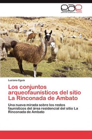 Carte Conjuntos Arqueofaunisticos del Sitio La Rinconada de Ambato Luciana Eguia