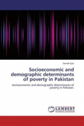 Kniha Socioeconomic and demographic determinants of poverty in Pakistan Zainab Ejaz