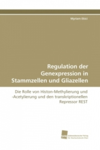 Livre Regulation der Genexpression in Stammzellen und Gliazellen Myriam Ekici