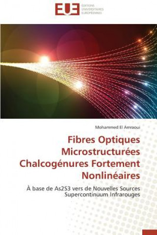 Carte Fibres Optiques Microstructur es Chalcog nures Fortement Nonlin aires Mohammed El Amraoui