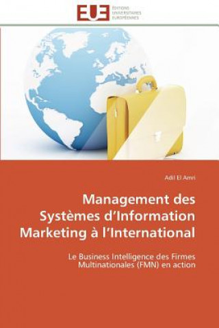 Carte Management des systemes d information marketing a l international Adil El Amri