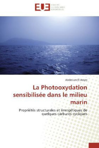Könyv La Photooxydation sensibilisée dans le milieu marin Abdeslam El Assyry