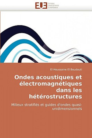 Kniha Ondes Acoustiques Et Electromagnetiques Dans Les Heterostructures El Houssaine El Boudouti