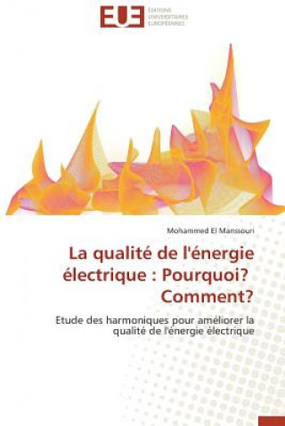 Book La Qualit  de l' nergie  lectrique Mohammed El Manssouri