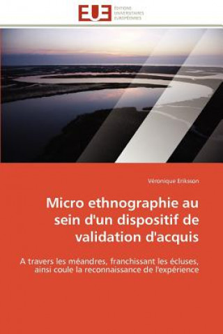 Buch Micro Ethnographie Au Sein d'Un Dispositif de Validation d'Acquis Véronique Eriksson