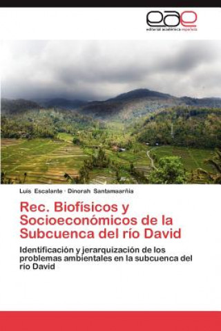 Książka Rec. Biofisicos y Socioeconomicos de La Subcuenca del Rio David Luis Escalante