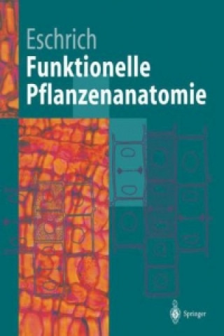 Kniha Funktionelle Pflanzenanatomie Walter Eschrich