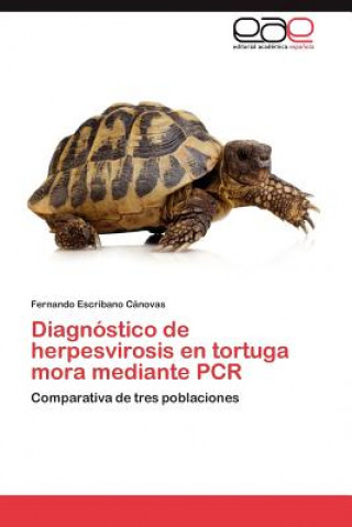 Book Diagnostico de Herpesvirosis En Tortuga Mora Mediante PCR Escribano Canovas Fernando